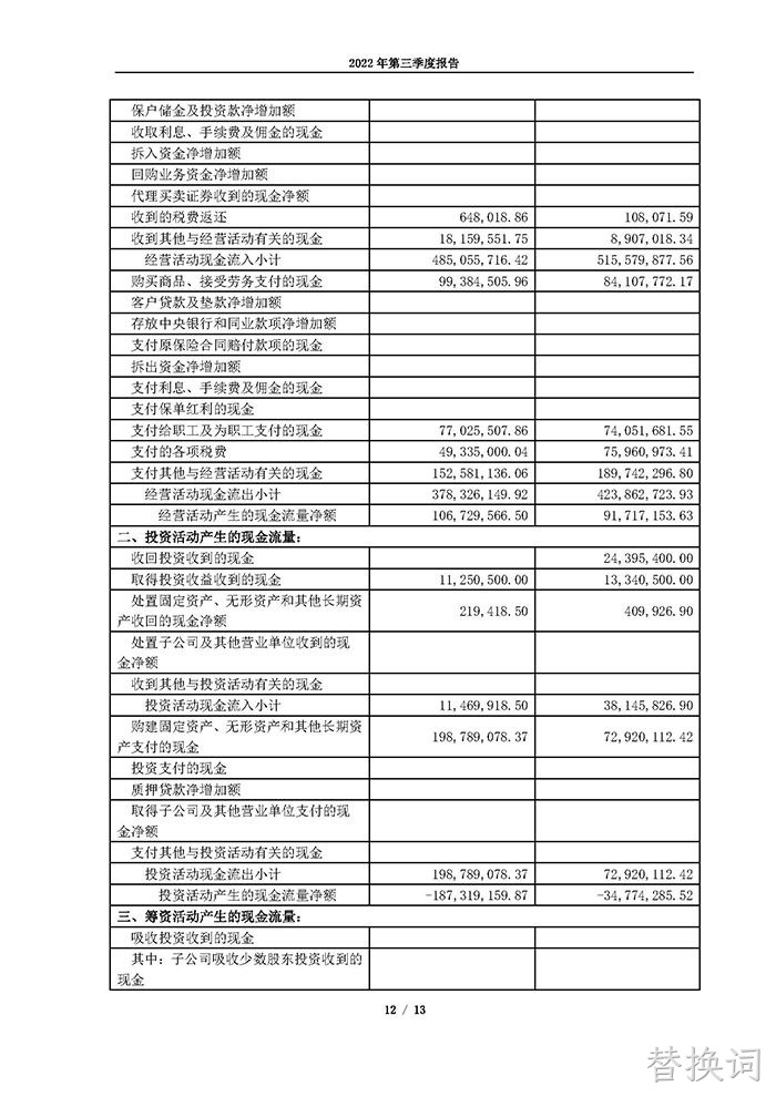 替换词2022年第三季度报告_页面_12