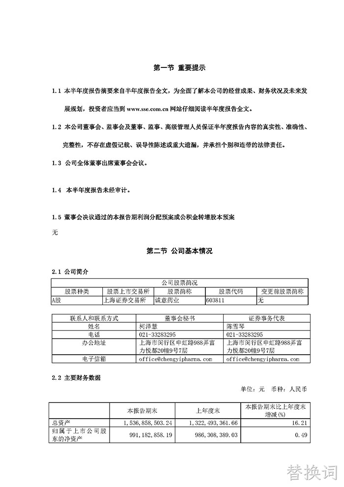 替换词2022年半年度报告摘要_页面_2
