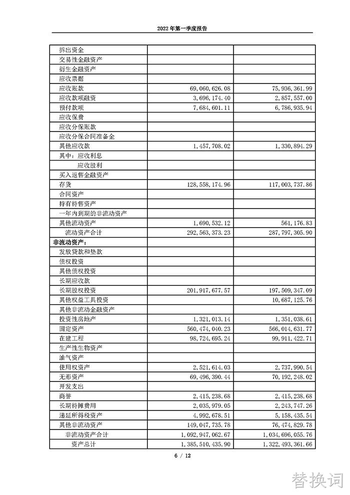 替换词2022年第一季度报告_页面_06