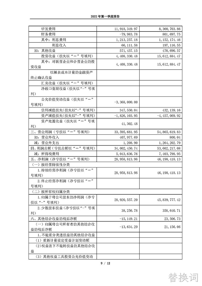 替换词2022年第一季度报告_页面_09