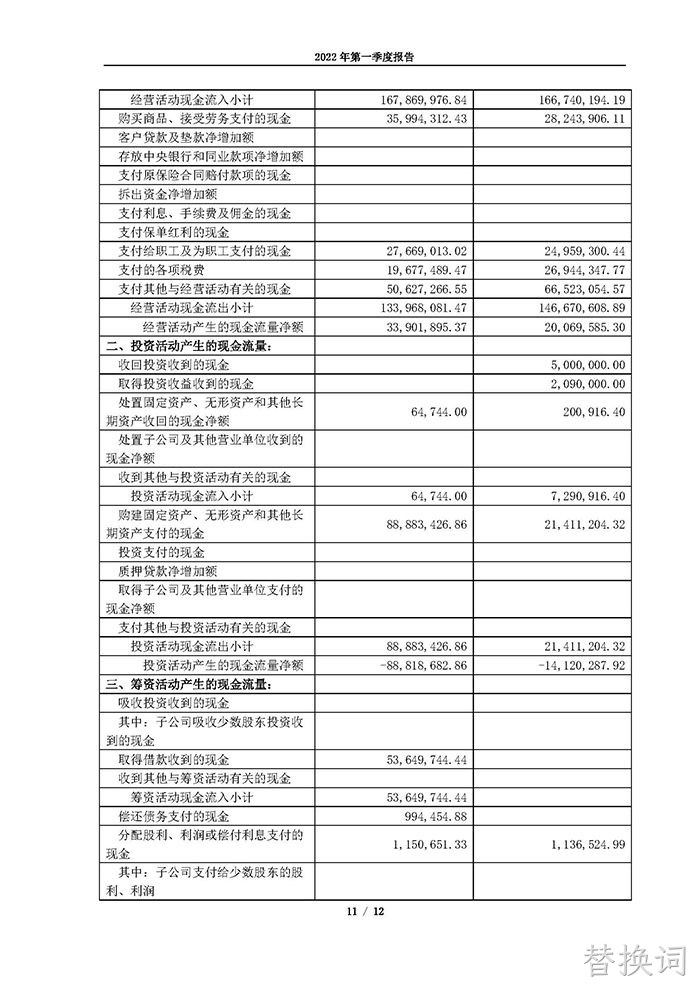 替换词2022年第一季度报告_页面_11