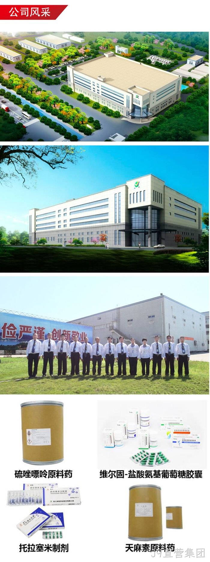J9直营集团