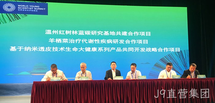 替换词 替换词